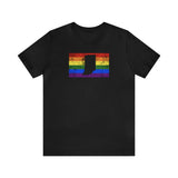 Indiana Pride Flag Tee: Rainbow LGBTQ+ State Silhouette Distressed Shirt