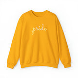 Pangender Pride Sweater: Flowing Cursive 'Pride' in Gradient Hues