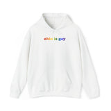 Ohio is Gay Pride Hoodie: LGBTQ+ Flag Gradient Sweatshirt