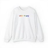 Ohio is Gay Pride Sweatshirt: LGBTQ+ Flag Gradient Sweater