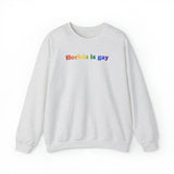 Florida is Gay Pride Sweatshirt: LGBTQ+ Flag Gradient Sweater