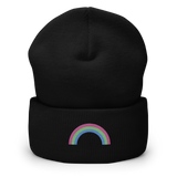 Embroidered Polysexual Rainbow Beanie: Pride Flag LGBTQ+ Design
