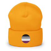 Asexual Flag Embroidered Circle Beanie: Celebratory LGBTQ+ Pride Design