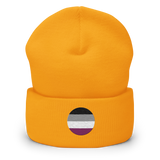 Asexual Flag Embroidered Circle Beanie: Celebratory LGBTQ+ Pride Design