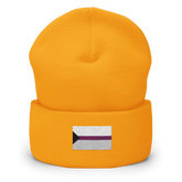 Demisexual Pride Flag Embroidered Beanie