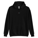 Embroidered Polysexual Hoodie: Pride Flag Horizontal Circle Design