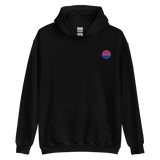 Bisexual Flag Embroidered Circle Hoodie: Celebratory LGBTQ+ Pride Design