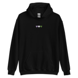 Embroidered Genderqueer Hoodie: Pride Flag Horizontal Heart Design