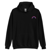 Embroidered Bisexual Rainbow Hoodie: Pride Flag LGBTQ+ Design