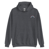 Embroidered Polysexual Rainbow Hoodie: Pride Flag LGBTQ+ Design