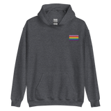 Gilbert Baker Pride Flag Embroidered Hoodie