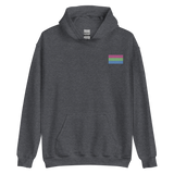 Polysexual Pride Flag Embroidered Hoodie
