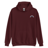 Embroidered Polysexual Rainbow Hoodie: Pride Flag LGBTQ+ Design