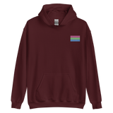 Polysexual Pride Flag Embroidered Hoodie