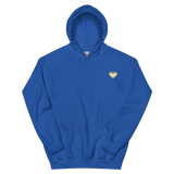 Demigender Flag Embroidered Heart Hoodie: Celebratory LGBTQ+ Pride Design