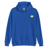 Demigender Flag Embroidered Circle Hoodie: Celebratory LGBTQ+ Pride Design