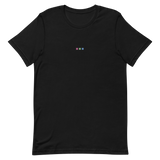 Embroidered Polysexual T-Shirt: Pride Flag Horizontal Square Design