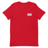 Transgender Pride Flag Embroidered T-Shirt