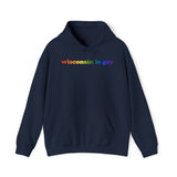 Wisconsin is Gay Pride Hoodie: LGBTQ+ Flag Gradient Sweatshirt