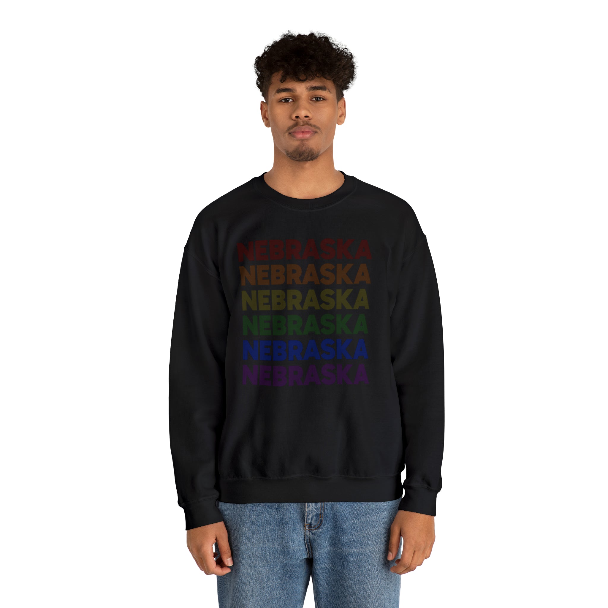 Nebraska LGBTQ+ Pride Flag, Faded Black Sweater