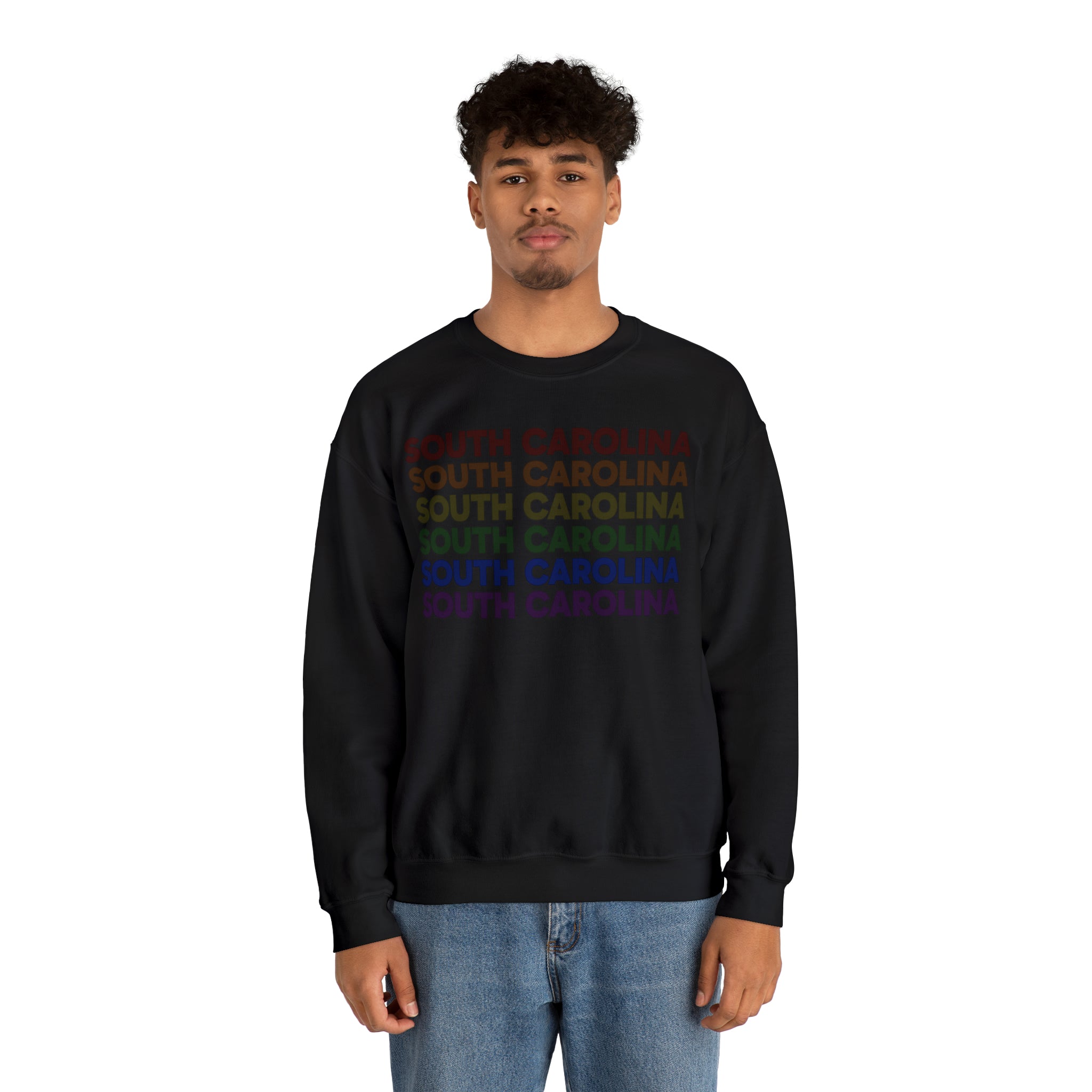 South Carolina LGBTQ+ Pride Flag, Faded Black Sweater