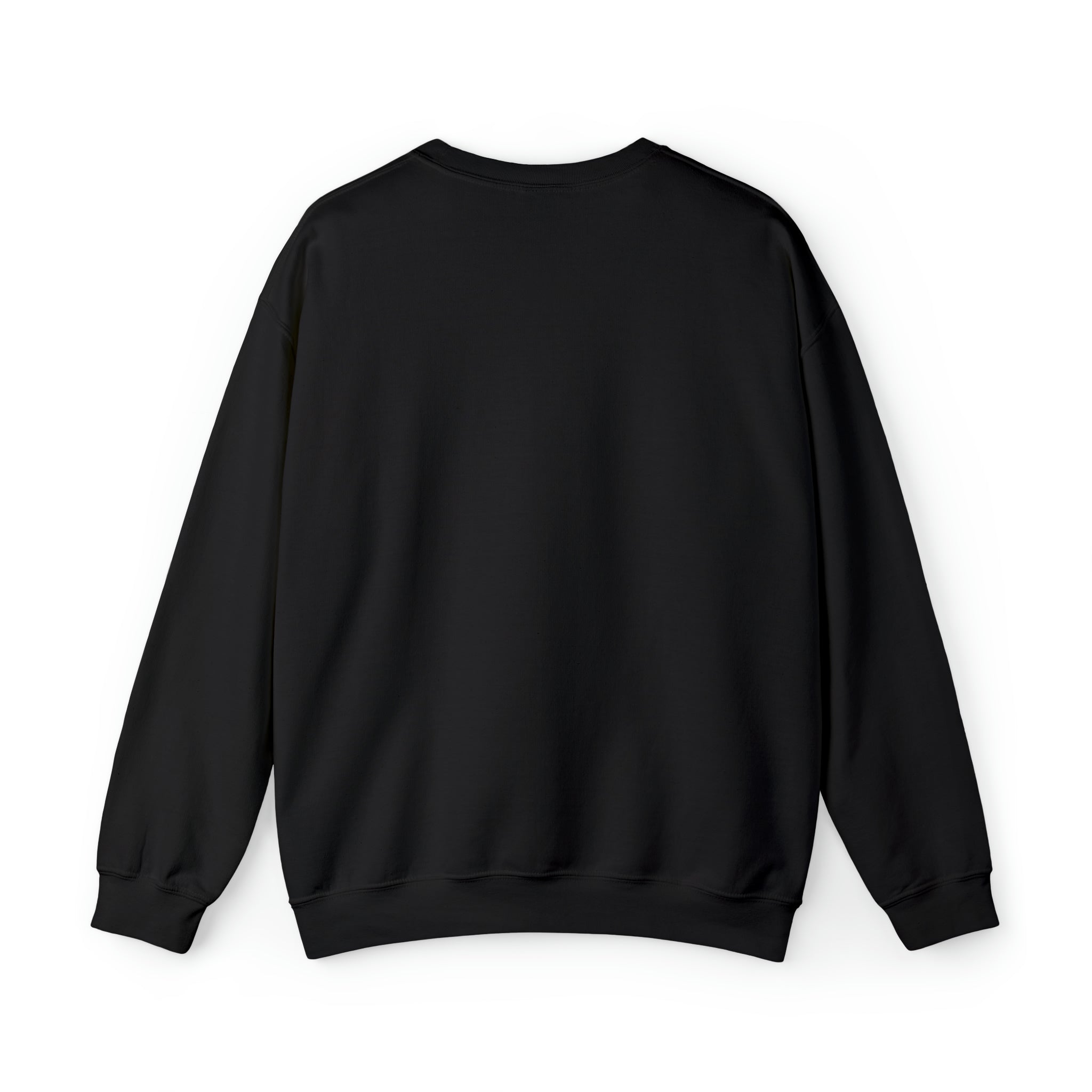 Nebraska LGBTQ+ Pride Flag, Faded Black Sweater