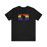 Wisconsin Pride Flag Tee: Rainbow LGBTQ+ State Silhouette Distressed Shirt