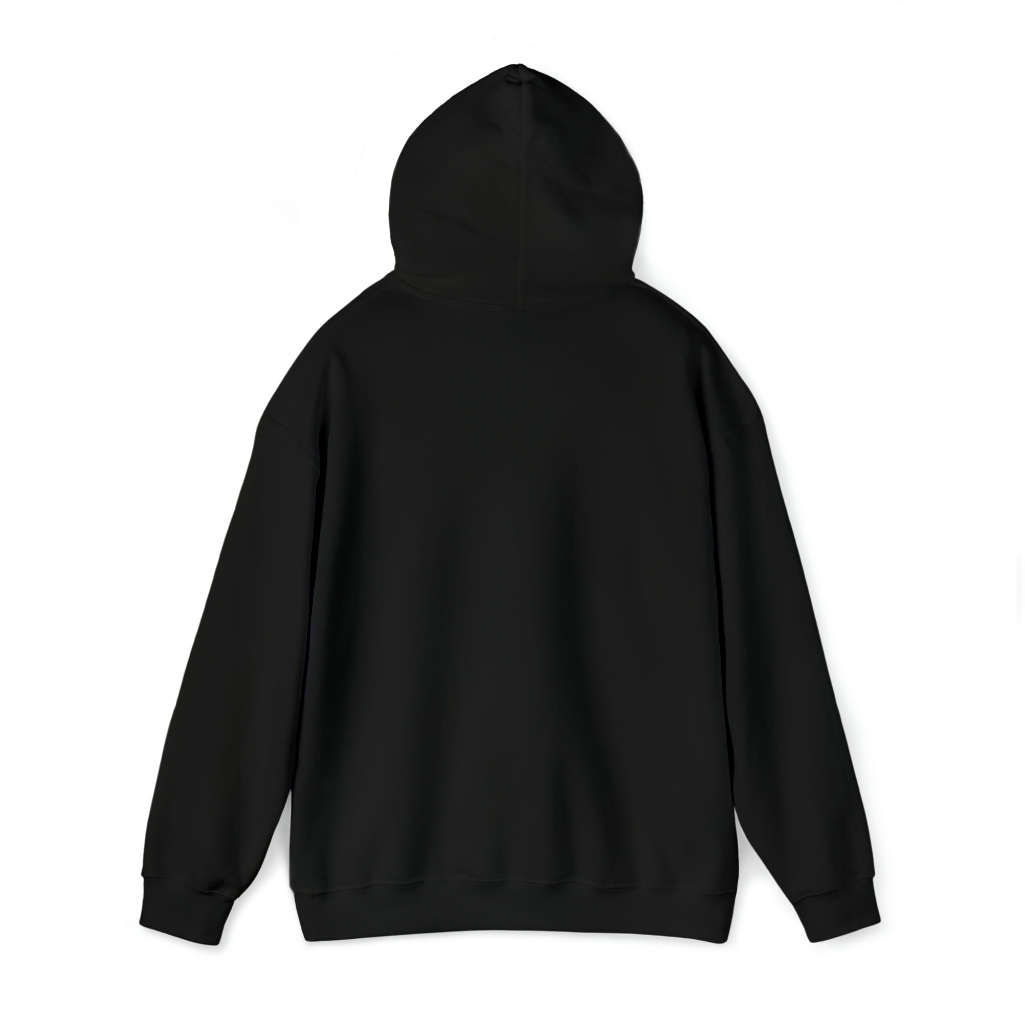 Alaska LGBTQ+ Pride Flag, Faded Black Hoodie