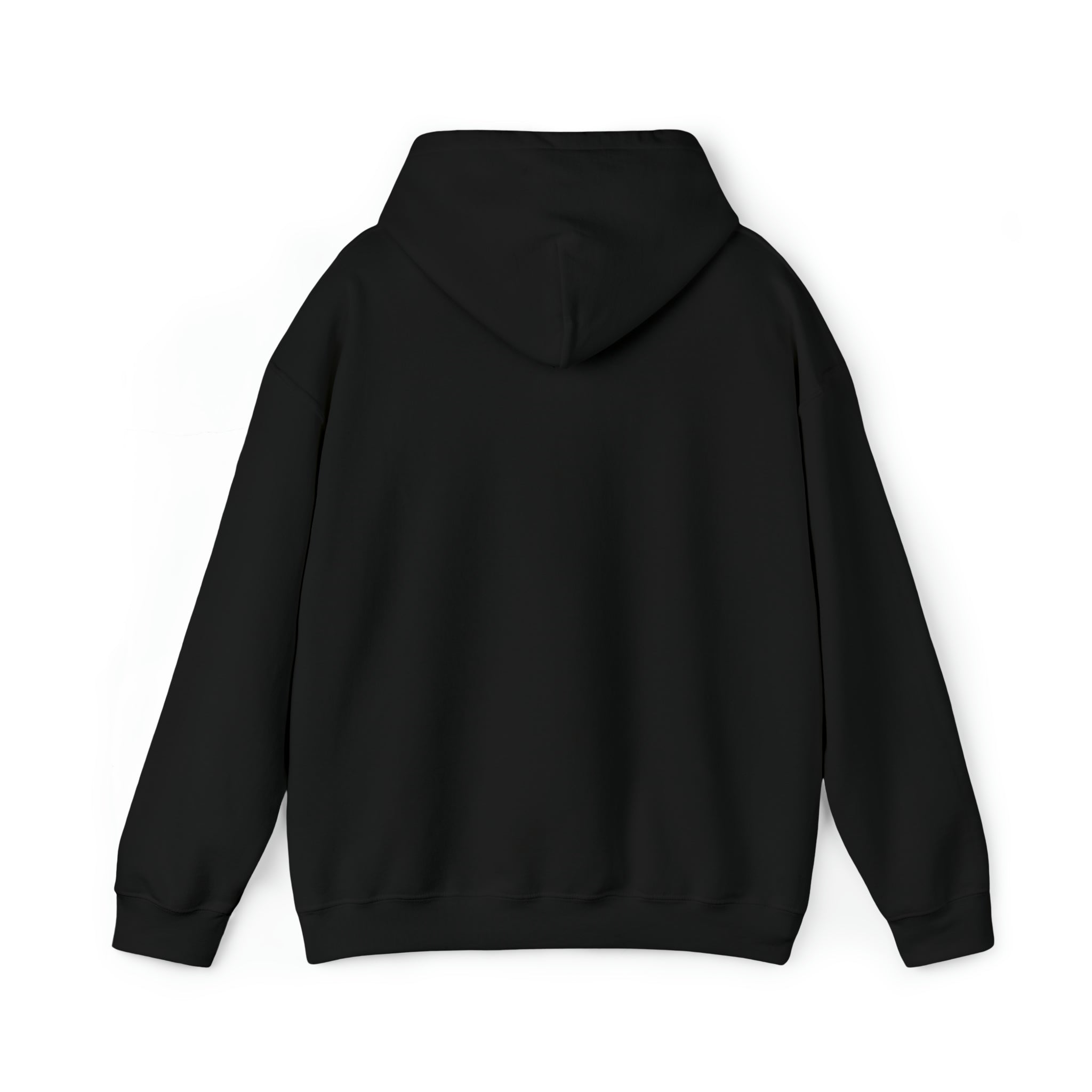 Arizona LGBTQ+ Pride Flag, Faded Black Hoodie