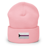 Demisexual Pride Flag Embroidered Beanie