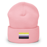 Nonbinary Pride Flag Embroidered Beanie