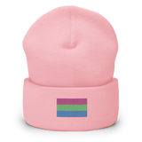 Polysexual Pride Flag Embroidered Beanie