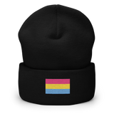 Pansexual Pride Flag Embroidered Beanie