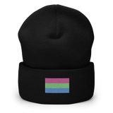 Polysexual Pride Flag Embroidered Beanie