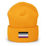 Asexual Pride Flag Embroidered Beanie