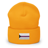 Demisexual Pride Flag Embroidered Beanie