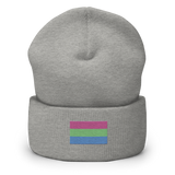 Polysexual Pride Flag Embroidered Beanie