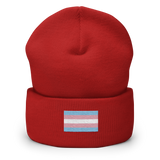 Transgender Pride Flag Embroidered Beanie