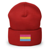 Pansexual Pride Flag Embroidered Beanie