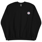 Transgender Flag Embroidered Circle Sweatshirt: Celebratory LGBTQ+ Pride Design