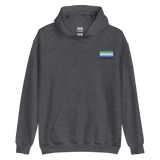 Gay Pride Flag Embroidered Hoodie