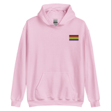 Philly Pride Flag Embroidered Hoodie