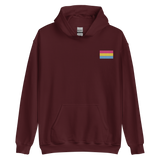 Pansexual Pride Flag Embroidered Hoodie