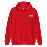 Gay Pride Flag Embroidered Hoodie