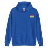 Pansexual Pride Flag Embroidered Hoodie