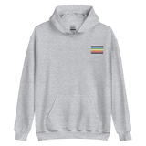 Queer Pride Flag Embroidered Hoodie