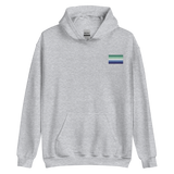 Gay Pride Flag Embroidered Hoodie