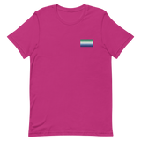 Gay Pride Flag Embroidered T-Shirt